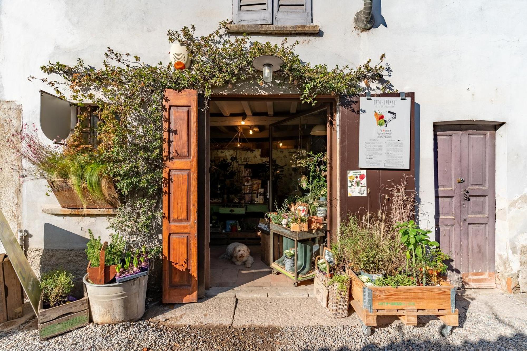 Milan Stay - Alzaia Naviglio Grande 部屋 写真